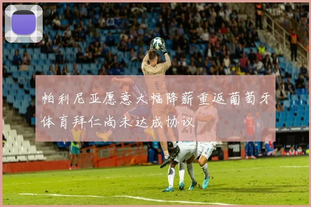 帕利尼亚愿意大幅降薪重返葡萄牙体育拜仁尚未达成协议