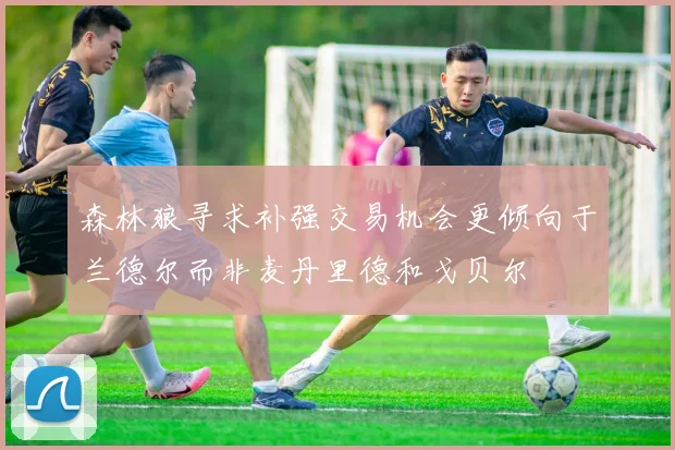 森林狼寻求补强交易机会更倾向于兰德尔而非麦丹里德和戈贝尔